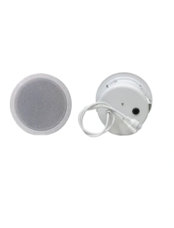 Stropný reproduktor DS-615-D/W